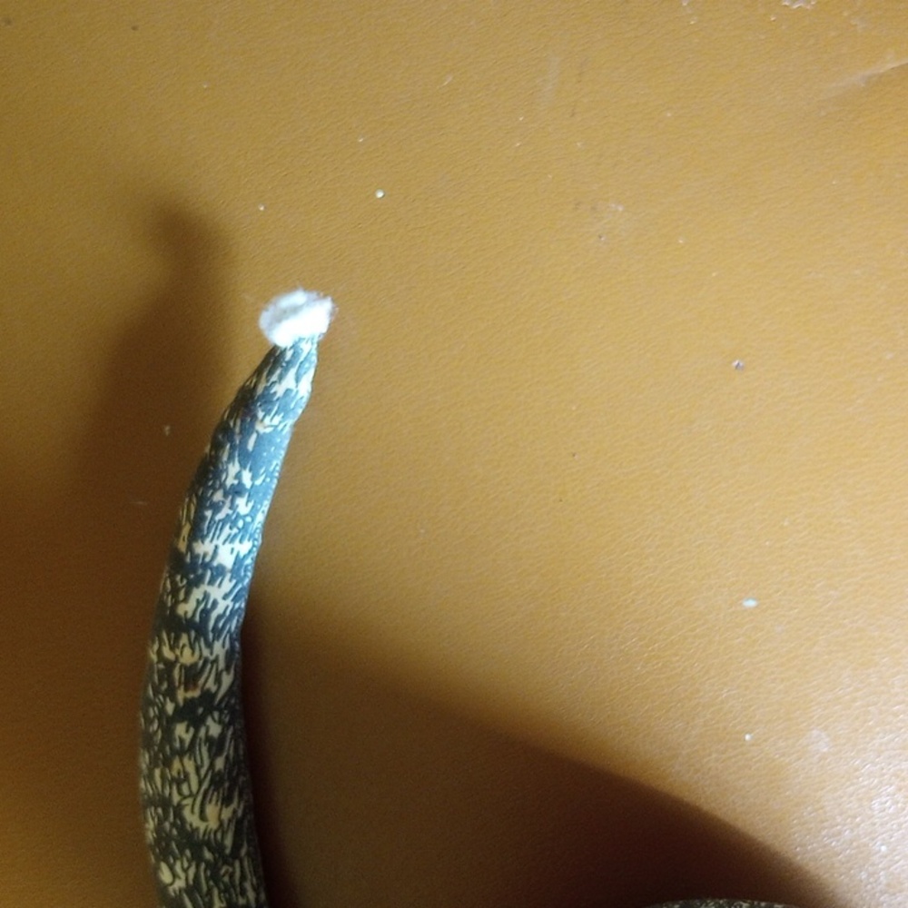 McGuffey's Cat, Smithsonian 1984, Vintage Feline Collectible, Butterfly - Picture 4 of 4